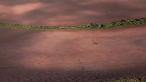 View from the drone to the sowing fields in spring Stock Footage 105275305