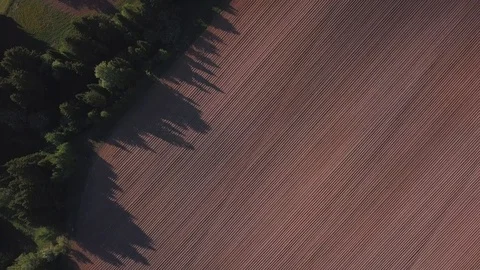 View from the drone to the sowing fields in spring Stock Footage 105275335