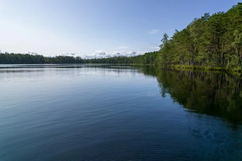 View from drone on trees reflection in lake Stock Photos