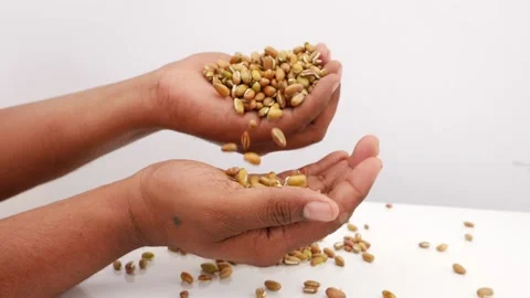 View of dropping beans seeds from one hand to another Vídeo Stock 159638418