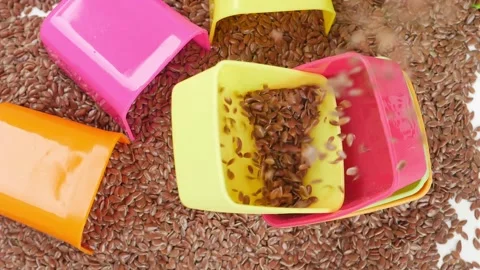 View of dropping flax seeds over plastic bowl placed over flax seeds Video stock 147853486