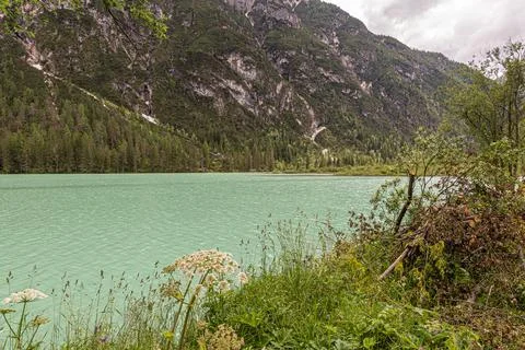 View of the Drrensee Lakev 스톡 사진