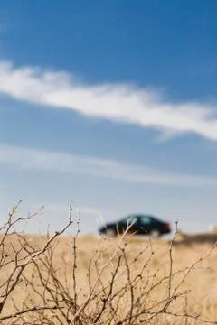 View from the dry branches to the car Stock Photos