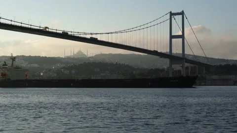 The view of the dry cargo ship passing under the Bosphorus Bridge Stock Footage 200683796