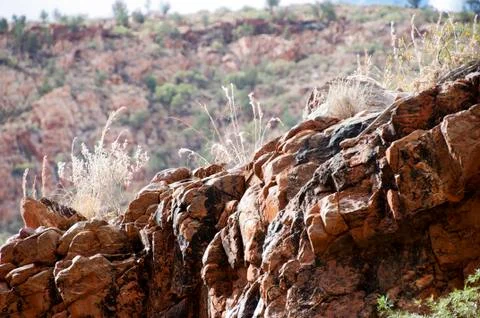 View of dry grass on ridge in Ormiston Gorge Stock Photos