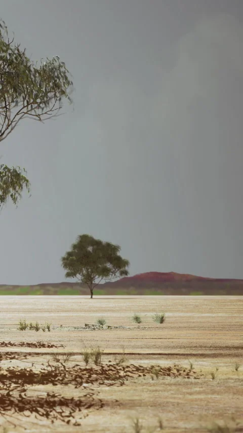 View of dry plain with a single tree and distant hills under cloudy sky Stock Footage 334186324