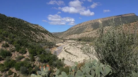 View of dry river Oued Tamraght near Tamzergourte or Tamzargot in Morocco Vídeo Stock 102668444