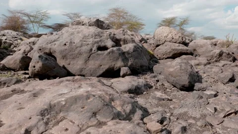 View of a dry rock formation with some trees in the background Stock Footage 235003758