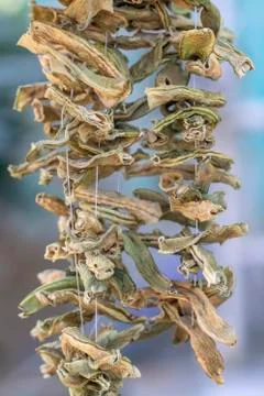 View of dry string beans hanged with ropes in a traditional way in Turkey Stock Photos