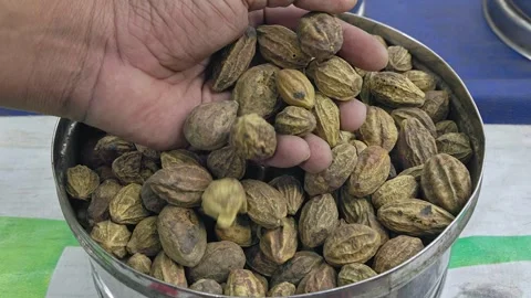 A view of dry Terminalia chebula, chebulic myrobalan, or haritaki fruits Stock Footage 248060265