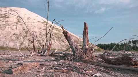 View of a dry tree against a background of a chalk mountain and blue sky Stock Footage 137958269