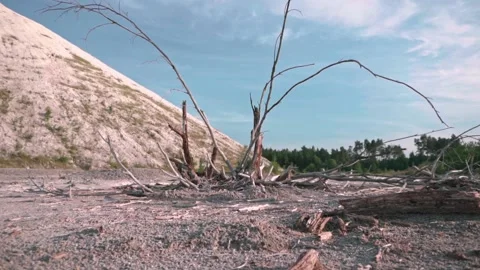 View of a dry tree against a background of a chalk mountain and blue sky Stock Footage 138260236