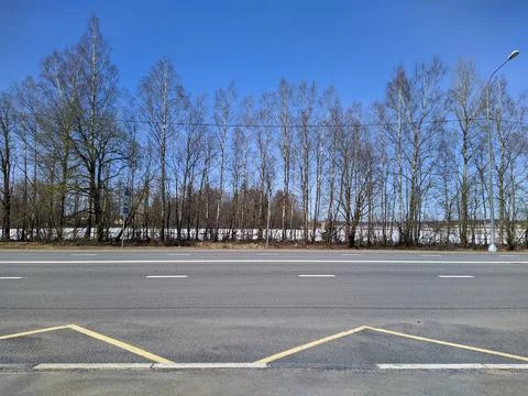 View of dry trees in early spring against the blue sky across the road. Foto stock