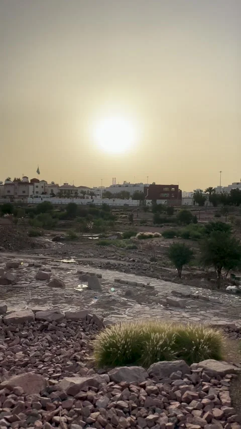A View of Dry Wadi Landscape at Sunset Vídeo Stock 337888345