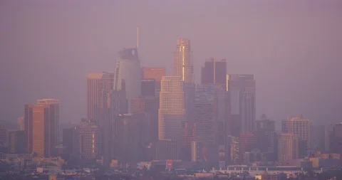 View of DTLA from Kenneth Hahn Park in Los Angeles, California Stock Footage 115084144