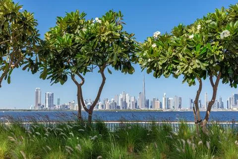 View of Dubai Downtown cityline from Dubai Creek Canal Stock Photos