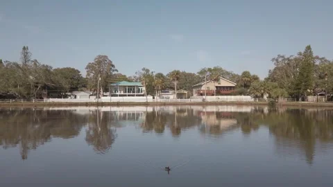 View of a duck paddling towards camera across a  blue pond with reflections Stock Footage 261061948