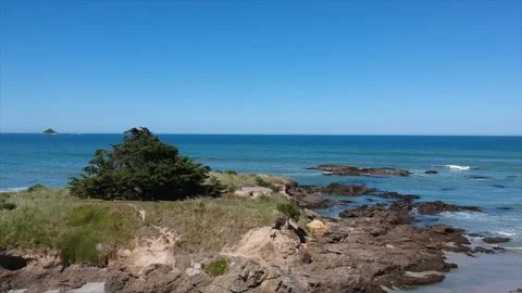 View in Dunedin beach Vidéo 276107017