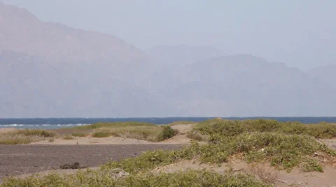 View of dunes and Red Sea, Nabq, Egypt Stock Footage 38898188
