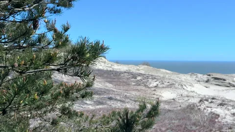 View of the dunes on the Curonian Spit Stock Footage 310249105