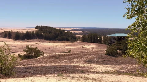View of the dunes on the Curonian Spit Video stock 310253814