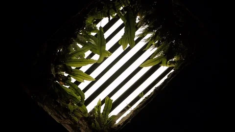 View from the dungeon to the top through the grate Stock Footage 111724296