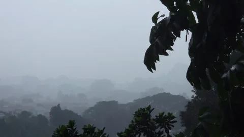 View during rain Stock Footage 258842859