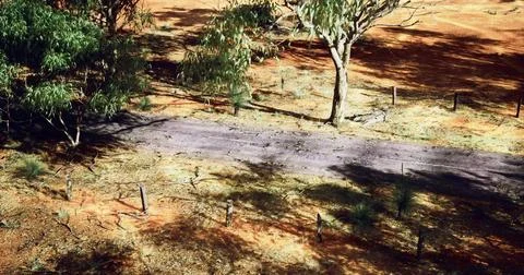View of a dusty road surrounded by sparse trees in the Australian outback Stock Illustration