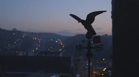 View of eagle weather vane in USA Stock Footage 61134197