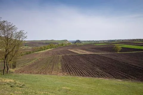 View at the early spring. Stock Photos