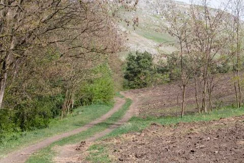 View at the early spring. Stock Photos