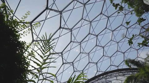 View Of The Eden Project Windows From The Inside Stock Footage 221828657