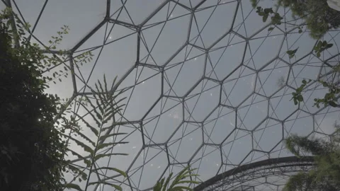 View Of The Eden Project Windows From The Inside - No LUT Verion Stock Footage 221828961