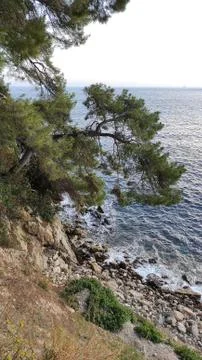 View from the edge of the cliff to the Mediterranean pines and the sea. Stock Photos