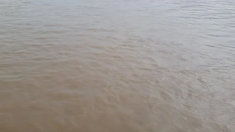 View of the edge of the land around the Kapuas River, West Kalimantan Видео 337167774