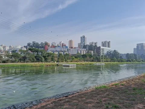 View on the edge of a large river. Stock Photos