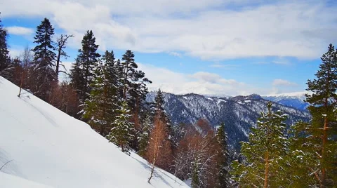 View of the edge of a winter forest in the mountains Stock Footage 50765442