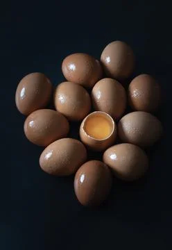 View of Egg yolk in Broken raw chicken eggshell in the among of Fresh chick.. Stock Photos