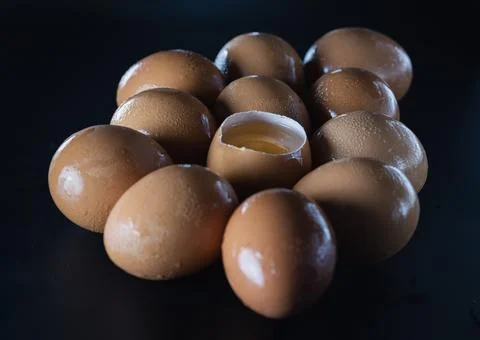 View of Egg yolk in Broken raw chicken eggshell in the among of Fresh chick.. Stock Photos