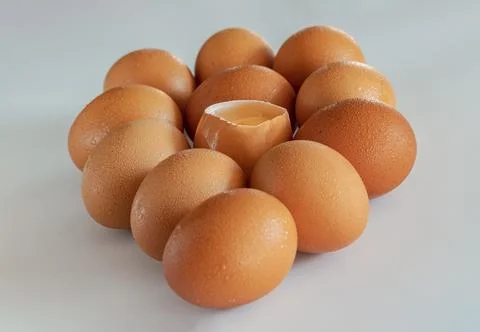 View of Egg yolk in Broken raw chicken eggshell in the among of Fresh chick.. Stock Photos