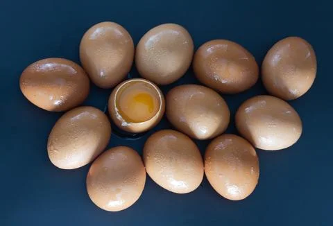 View of Egg yolk in Broken raw chicken eggshell in the among of Fresh chick.. Stock Photos