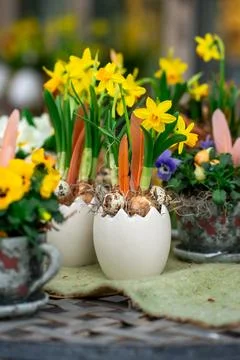 View of an eggshell-shaped flower pot with yellow daffodil flowers Foto stock