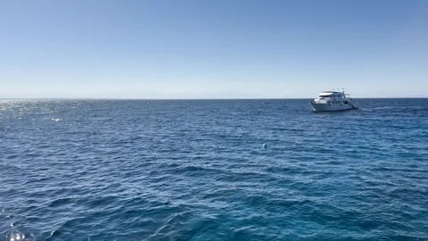 View of Egyptian Red Sea with diving liveaboard Vidéo 332305432