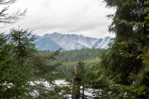 View to the Eibsee between trees and shrubs Foto stock