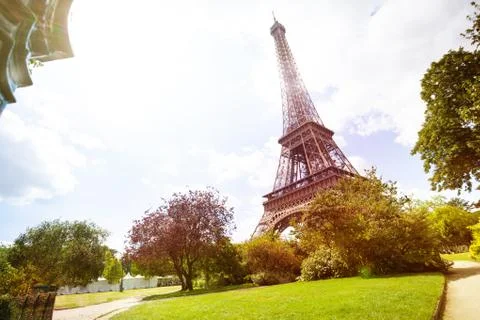 View on Eifel tower over lawn of Champs de Mars Photos