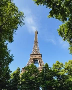 View of Eiffel Tower between leafy treetops in Paris, France. Stock-Fotos