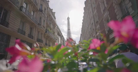 View of the Eiffel Tower from one of the famous streets of Paris. Parisian Stock Footage 248180531