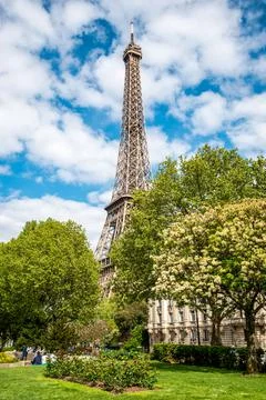 View of the Eiffel Tower in Summer, Paris Stock Photos