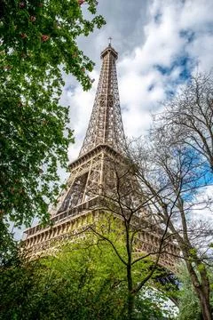 View of the Eiffel Tower in Summer, Paris View of the Eiffel Tower in Summ... Stock Photos
