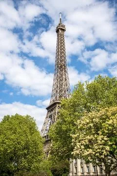 View of the Eiffel Tower in Summer, Paris, France, Europe Stock Photos